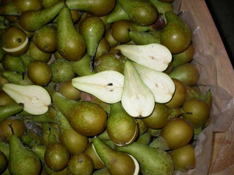 Storage of fresh produce